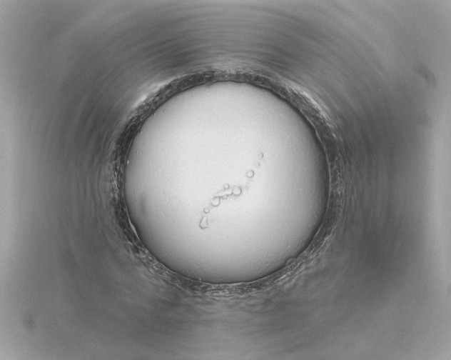 X0000116030776200912041934