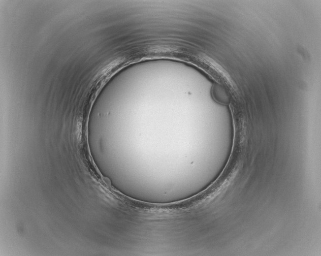 X0000116030777200912041934