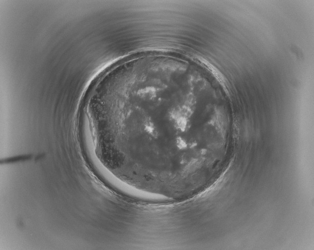 X0000116030779200912041934