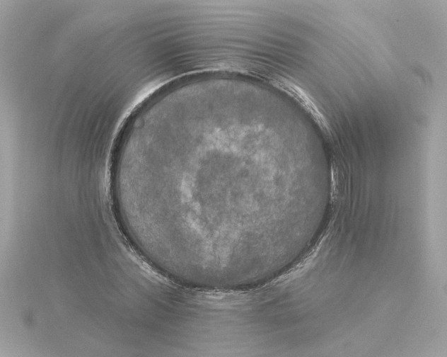 X0000116030780200912041934