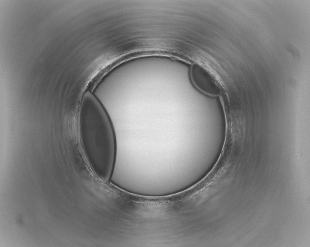 X0000116030781200912041934