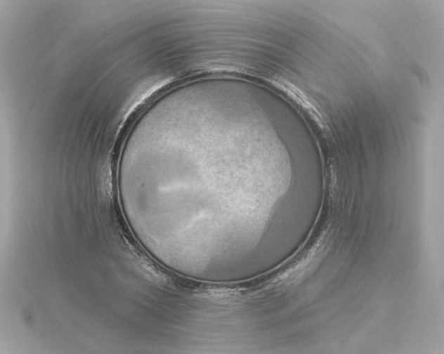 X0000116030782200912041934