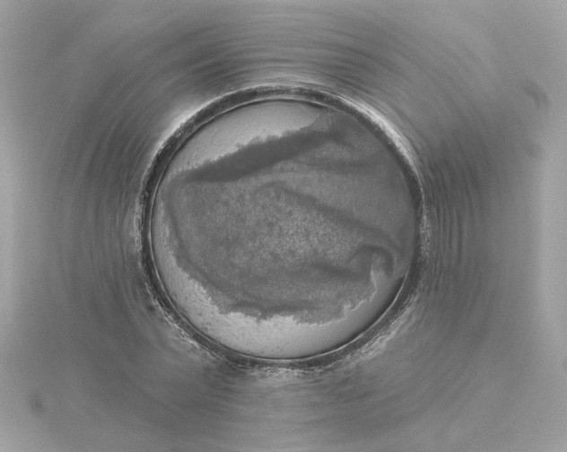 X0000116030783200912041934