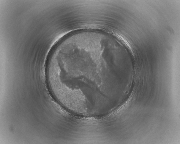 X0000116030784200912041934