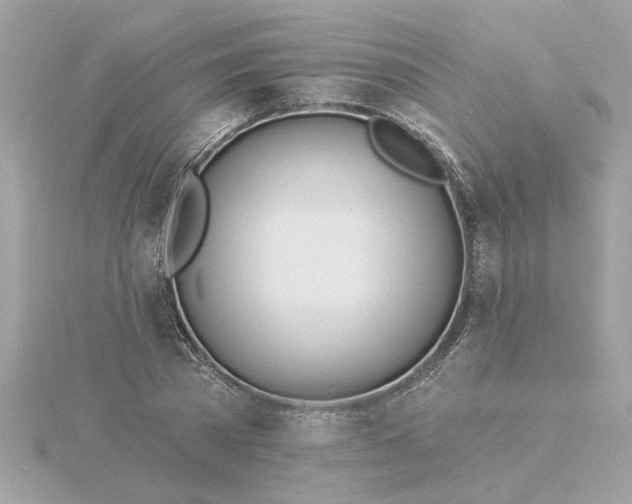 X0000116030785200912041934