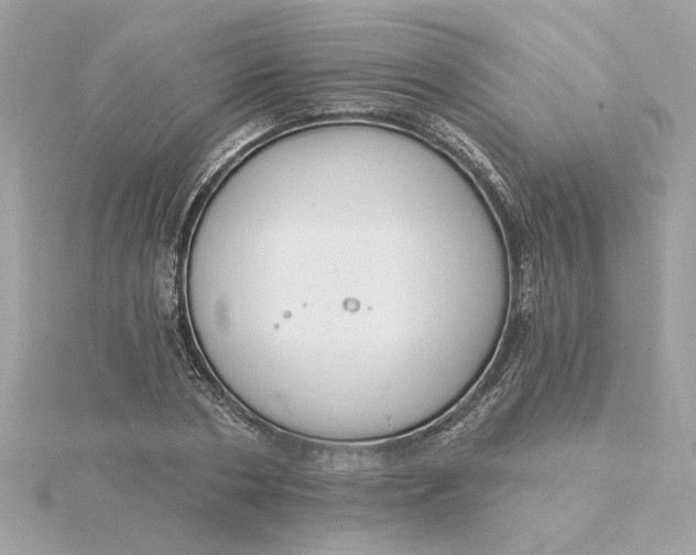 X0000116030786200912041934