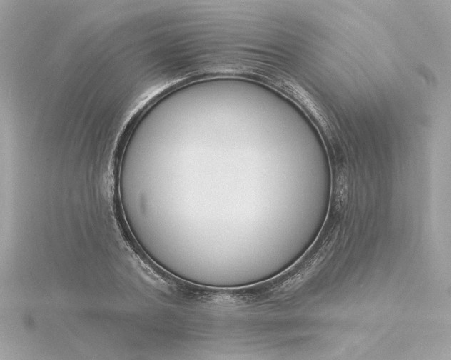 X0000116030787200912041934