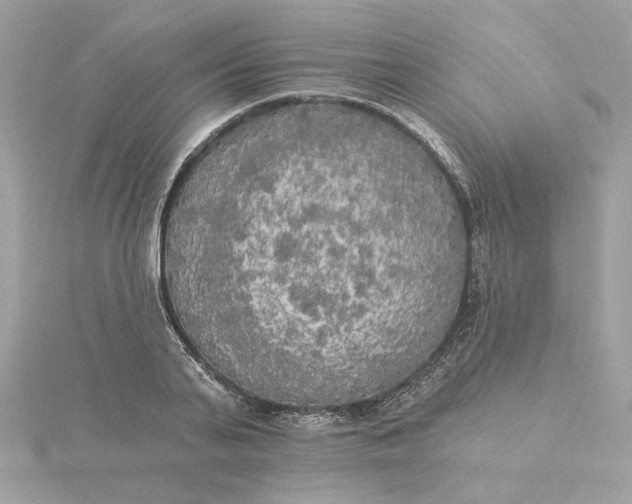 X0000116030791200912041933