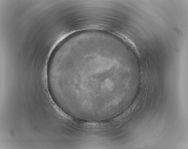 X0000116030792200912041933