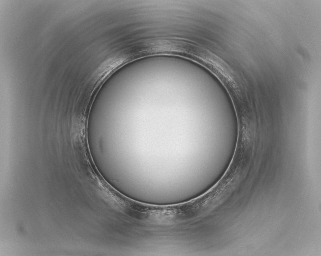 X0000116030793200912041933