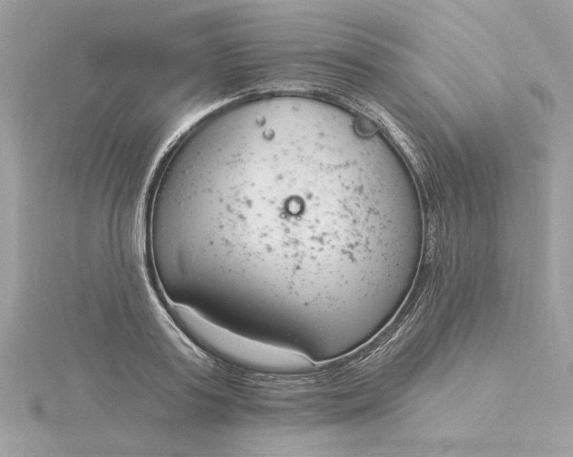 X0000116030795200912041933