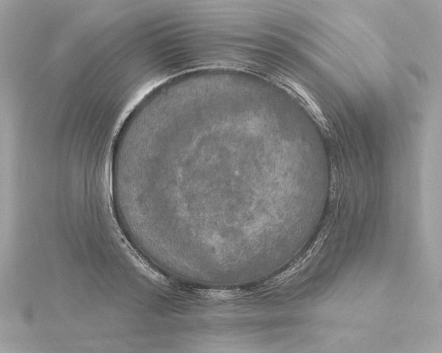 X0000116030796200912041933