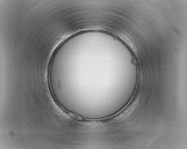 X0000116030797200912041933