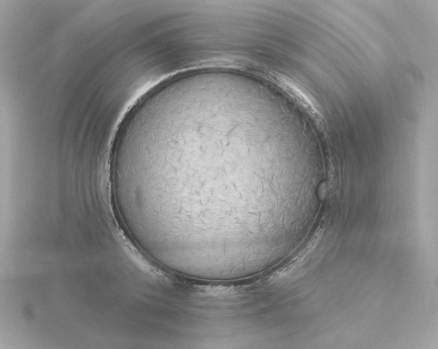 X0000116030800200912041933