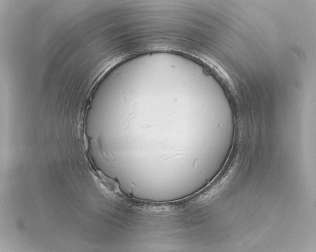 X0000116030801200912041933