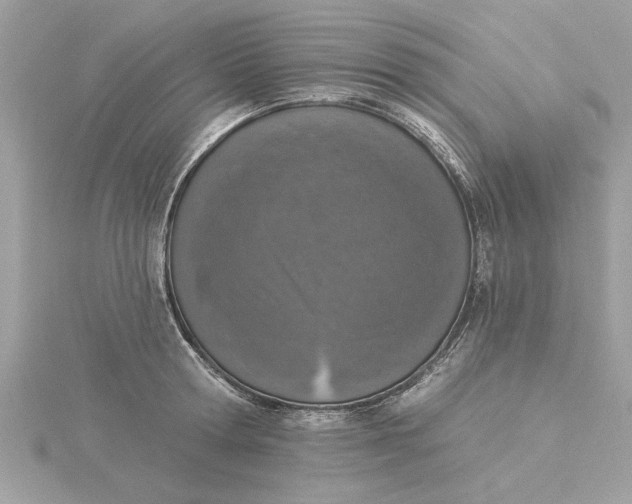 X0000116030802200912041933