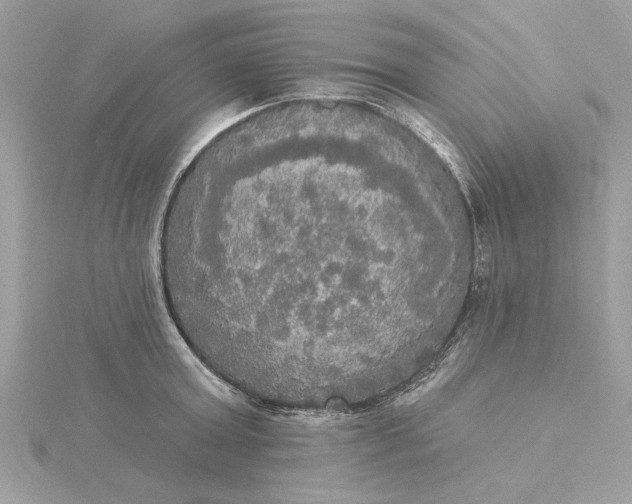 X0000116030803200912041933