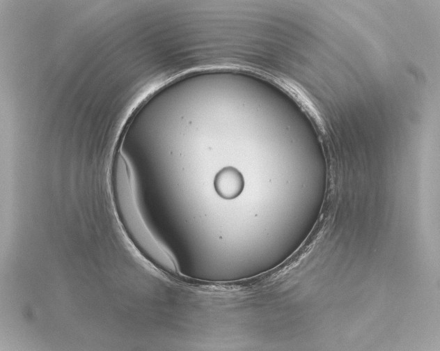 X0000116030805200912041933