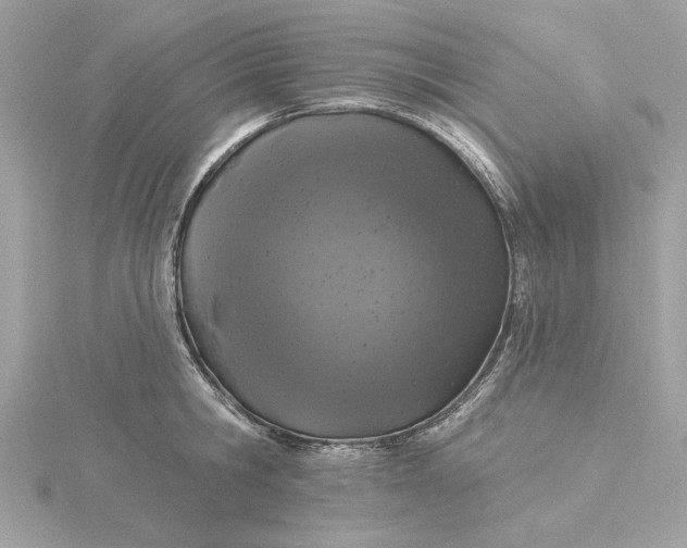 X0000116030806200912041933