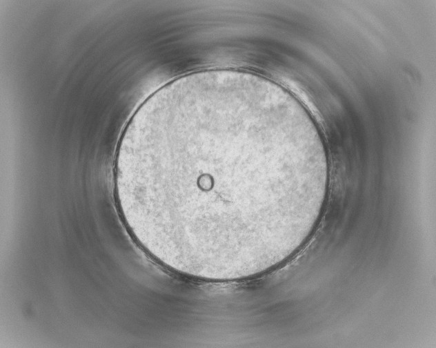 X0000116030810200912041933