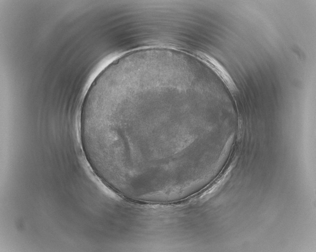 X0000116030812200912041933