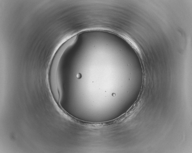 X0000116030813200912041933