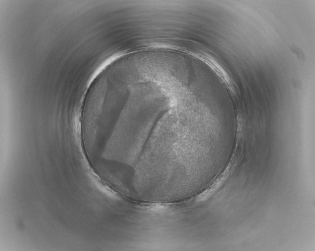 X0000116030814200912041933