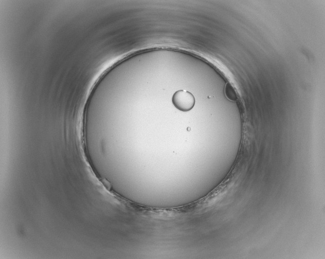 X0000116030815200912041933