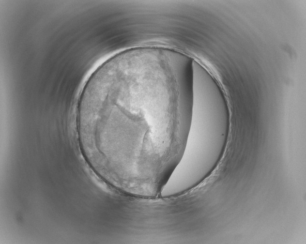 X0000116030816200912041933