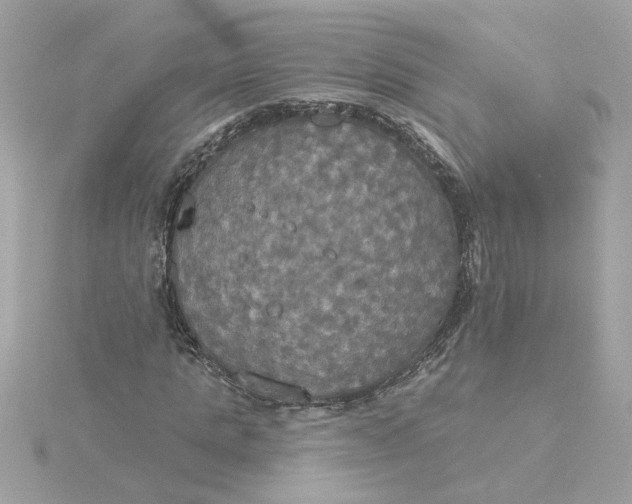 X0000116030821200912041932