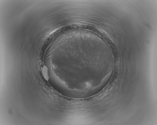 X0000116030822200912041932