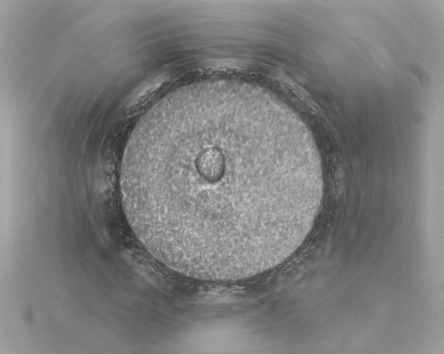 X0000116030824200912041932