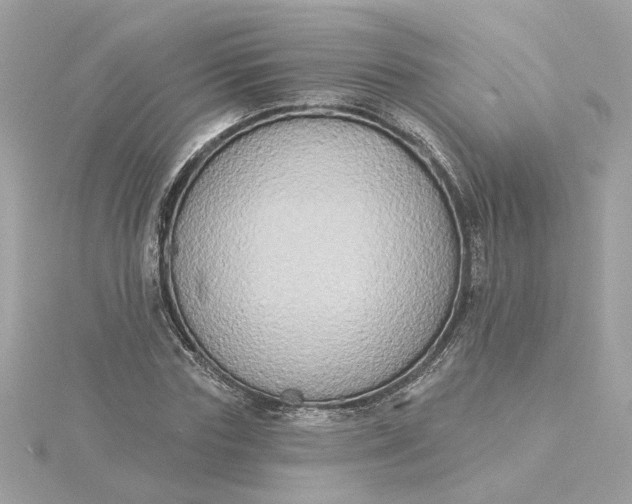 X0000116030827200912041932