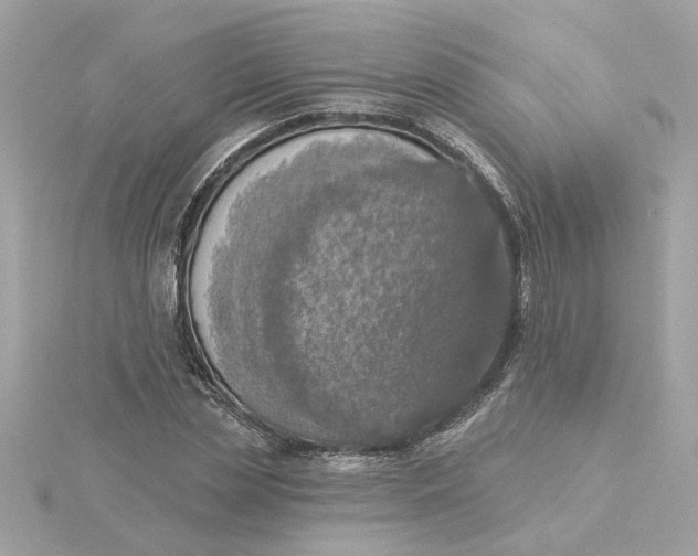 X0000116030829200912041932