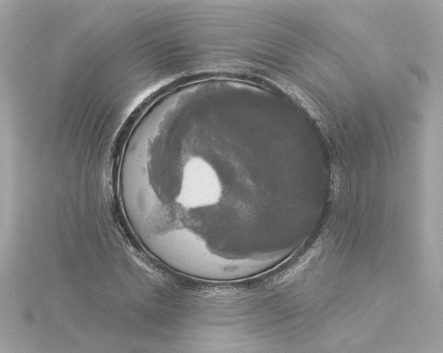 X0000116030830200912041933