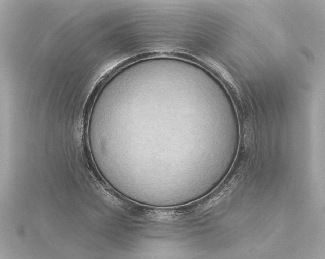 X0000116030831200912041933