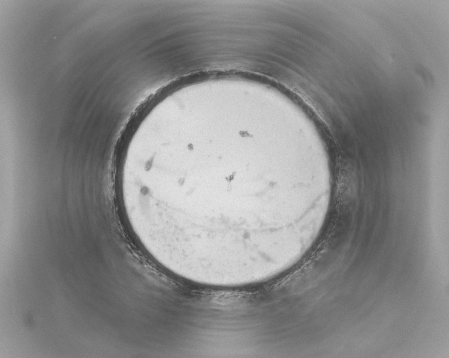 X0000116030832200912041933