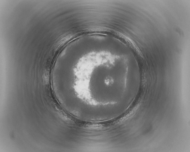 X0000116030833200912041933