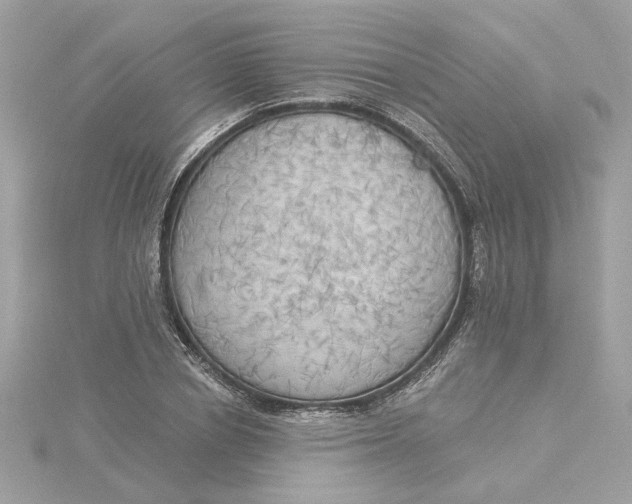 X0000116030834200912041933