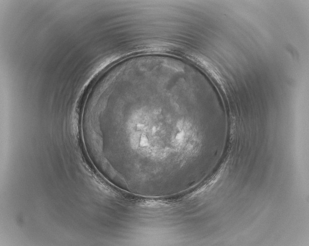 X0000116030835200912041933