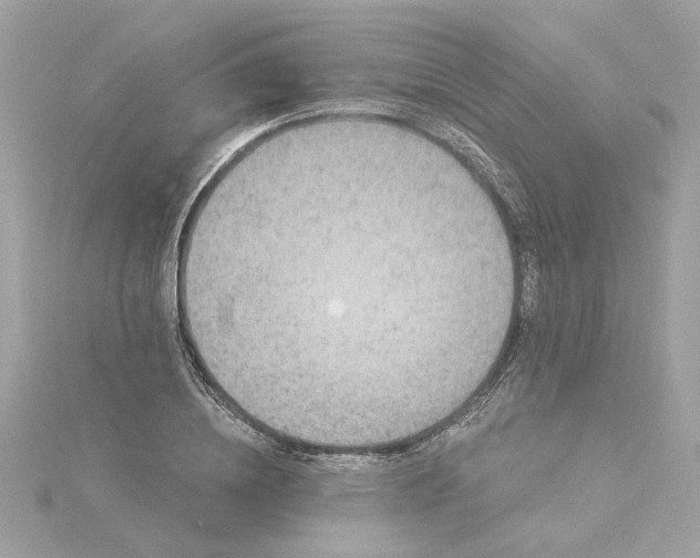 X0000116030836200912041933