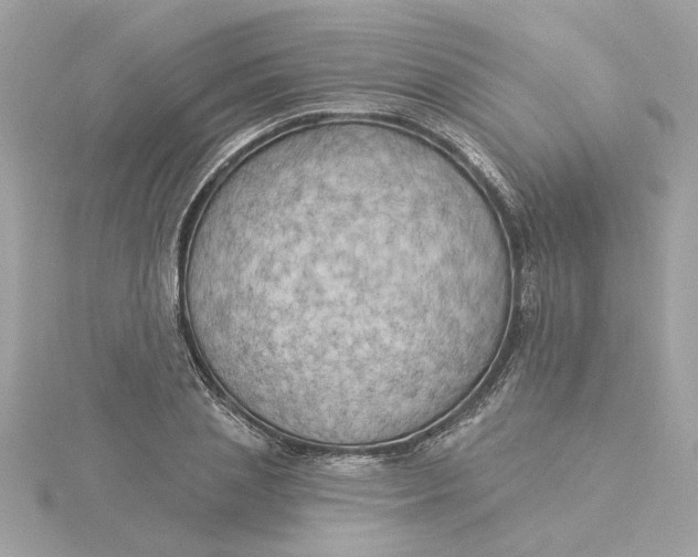 X0000116030837200912041933