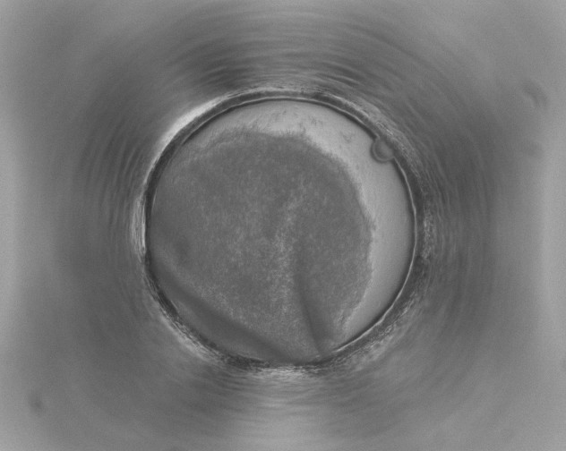 X0000116030838200912041933