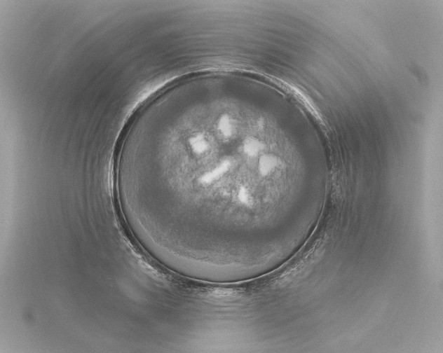 X0000116030839200912041933