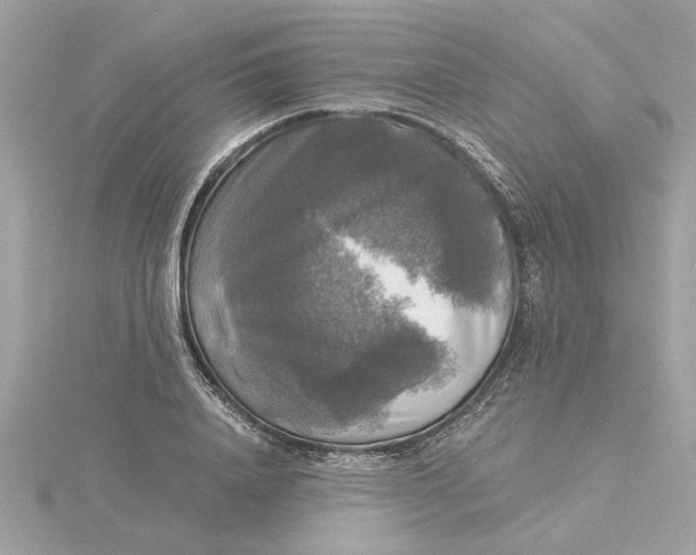 X0000116030840200912041933