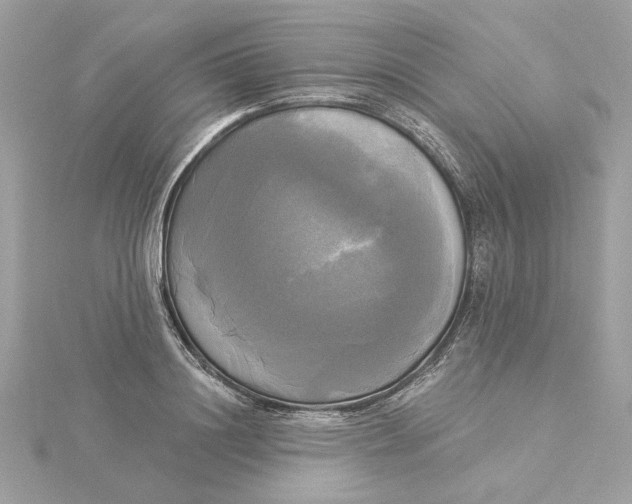 X0000116030844200912041933