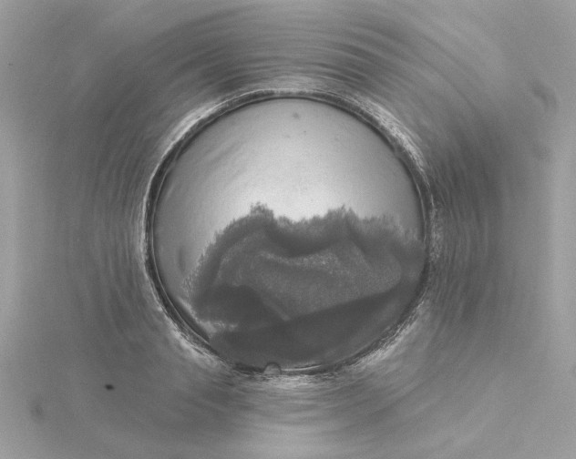 X0000116030845200912041933