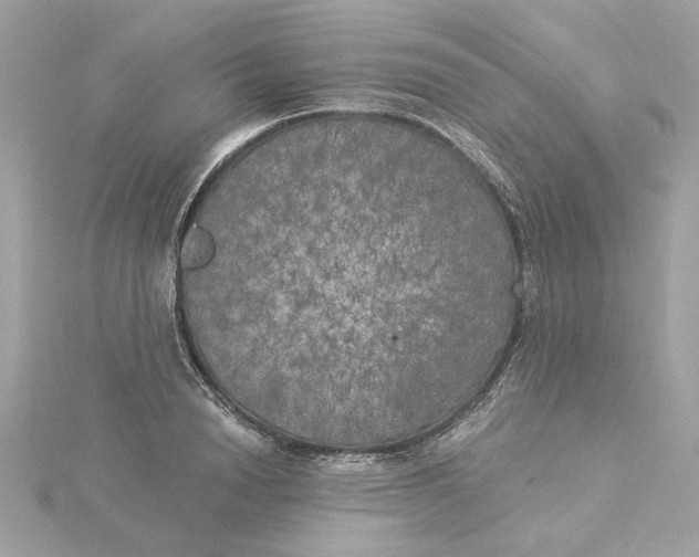 X0000116030846200912041933