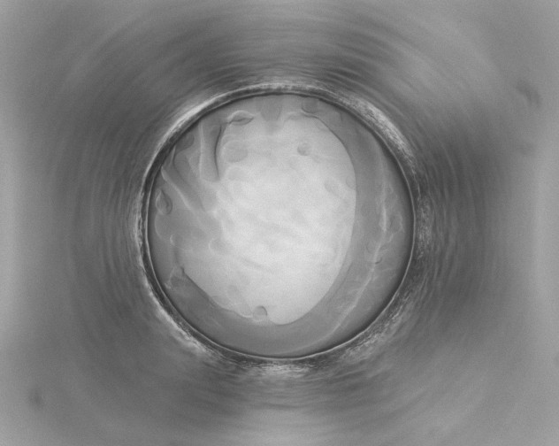 X0000116030847200912041933