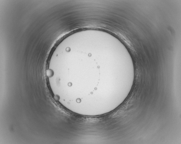 X0000116030848200912041933